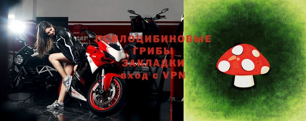 индика Абдулино