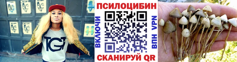 мега   Переславль-Залесский  Псилоцибиновые грибы GOLDEN TEACHER  купить наркоту 