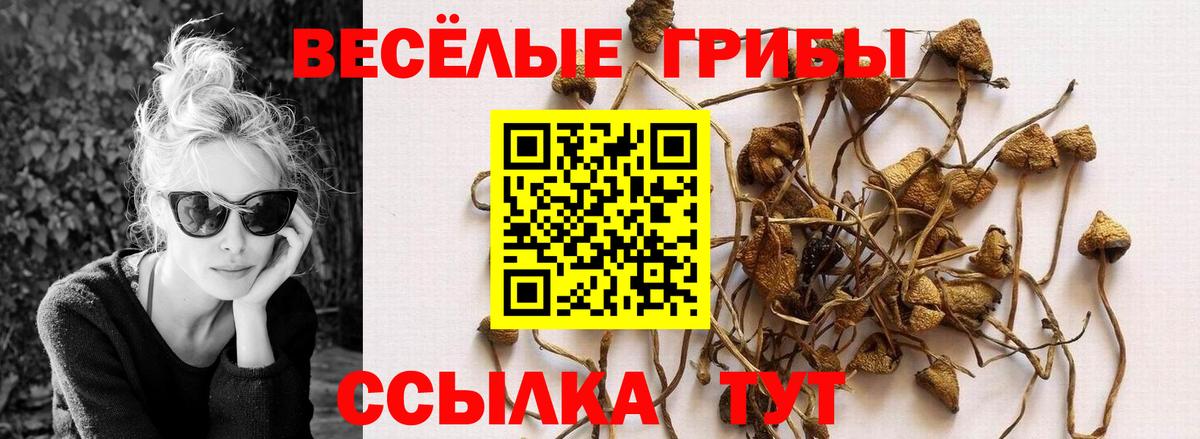 Псилоцибиновые грибы Magic Shrooms  Вход с VPN  Переславль-Залесский 